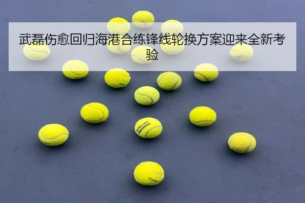 武磊伤愈回归海港合练锋线轮换方案迎来全新考验